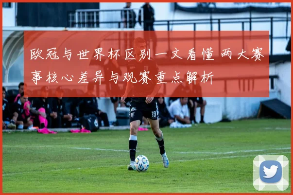 欧冠与世界杯区别一文看懂 两大赛事核心差异与观赛重点解析