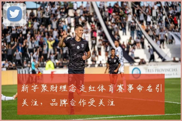 新字聚财理念走红体育赛事命名引关注，品牌合作受关注