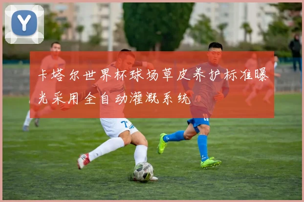 卡塔尔世界杯球场草皮养护标准曝光采用全自动灌溉系统